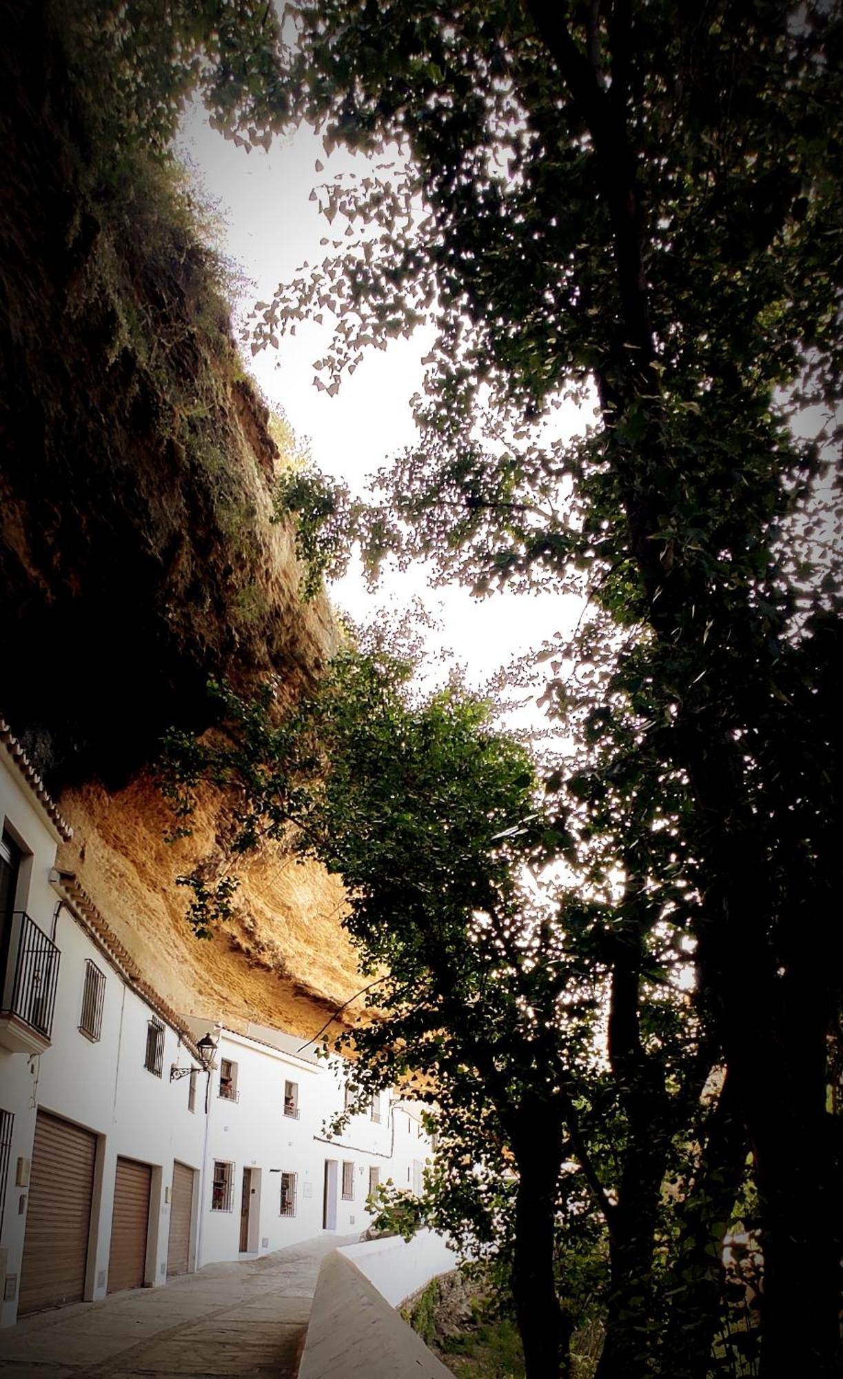 Casa Cueva Las Chicas Del Puente Setenil De Las Bodegas المظهر الخارجي الصورة