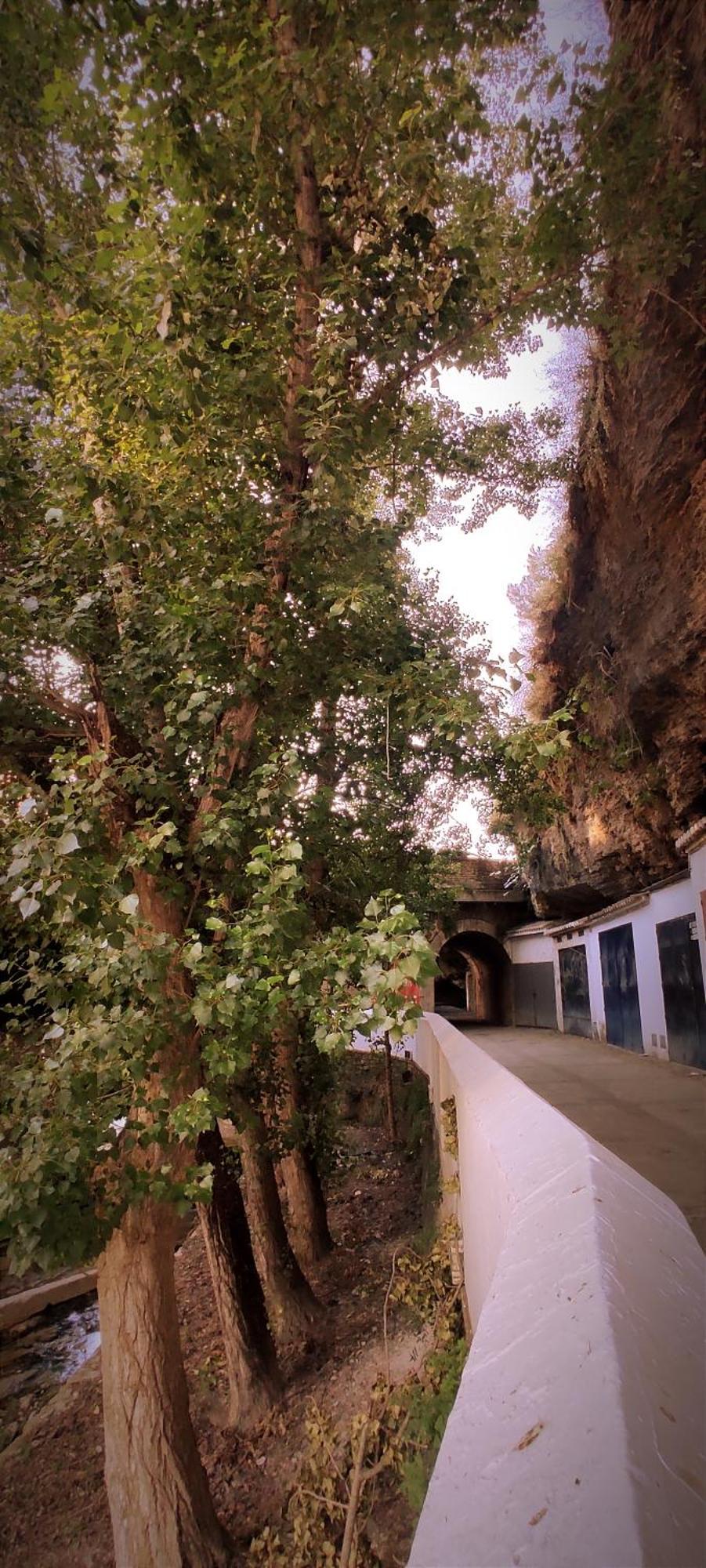 Casa Cueva Las Chicas Del Puente Setenil De Las Bodegas المظهر الخارجي الصورة